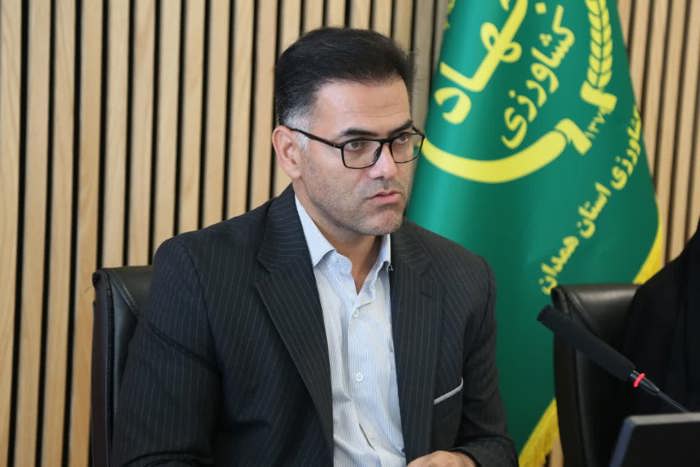 تأمین مستمر سیب زمینی از سردخانه‌های همدان برای تنظیم بازار تهران و همدان