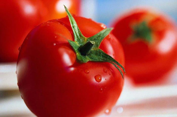 نهاوند؛ قطب تولید گوجه‌فرنگی همدان در آستانه احیای صنایع تبدیلی