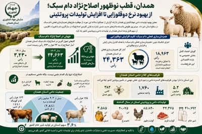 اینفوگرافی | 