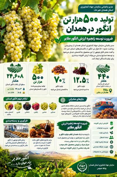 اینفوگرافی | 