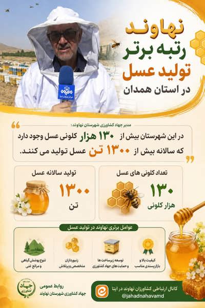 اینفوگرافی | 