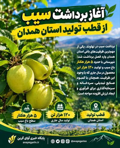 اینفوگرافی | 
