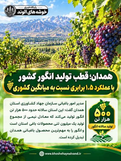 اینفوگرافی | 