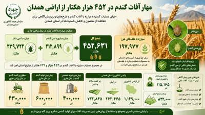 اینفوگرافی | 