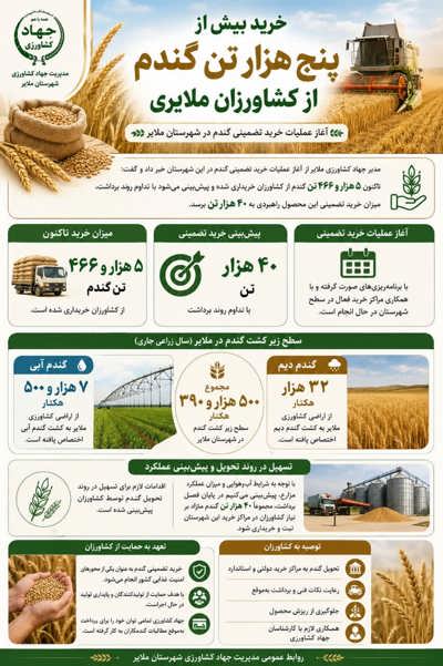 اینفوگرافی | 