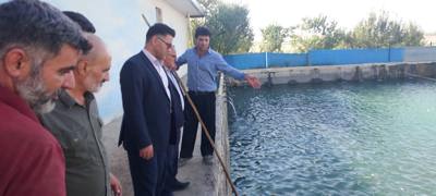 بررسی ظرفیت‌های تولیدی مزرعه روستای امزاجرد؛ از پرورش ماهی تا توسعه کشت کلزا