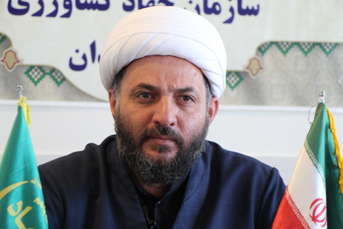 امین رضایی دولت